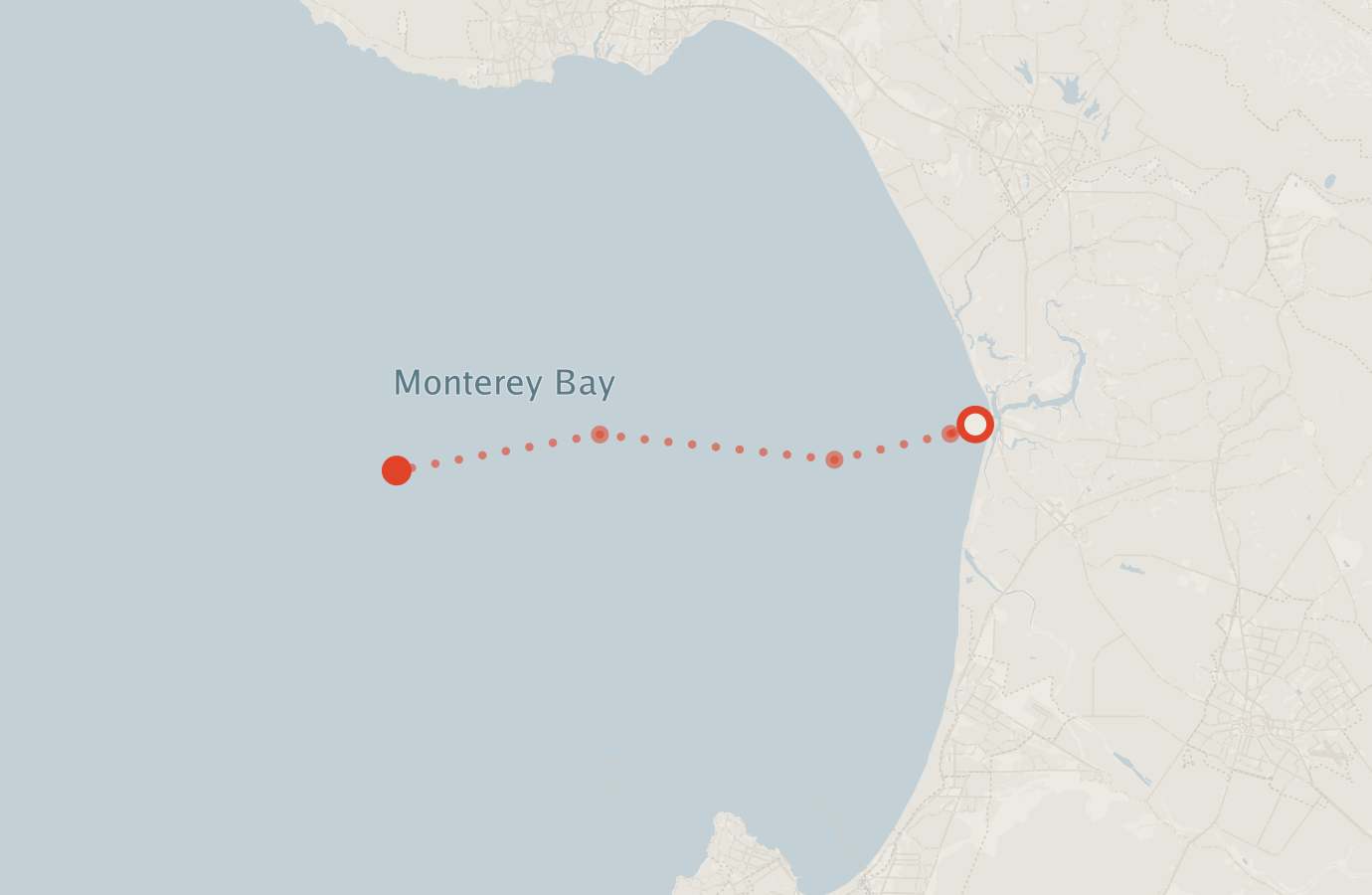Activity map — real sighting points on an OpenStreetMap basemap