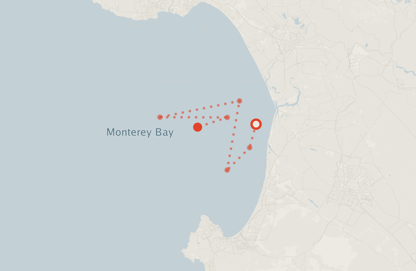 Activity map — real sighting points on an OpenStreetMap basemap