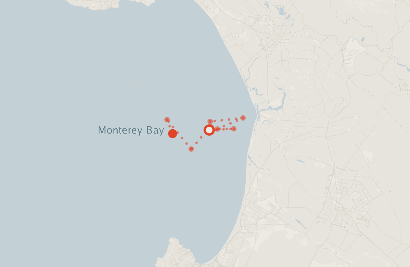 Activity map — real sighting points on an OpenStreetMap basemap