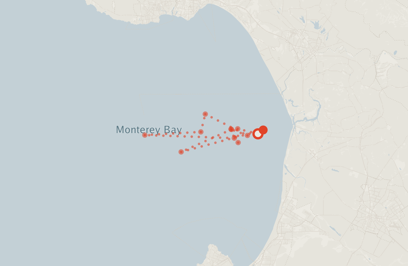 Activity map — real sighting points on an OpenStreetMap basemap