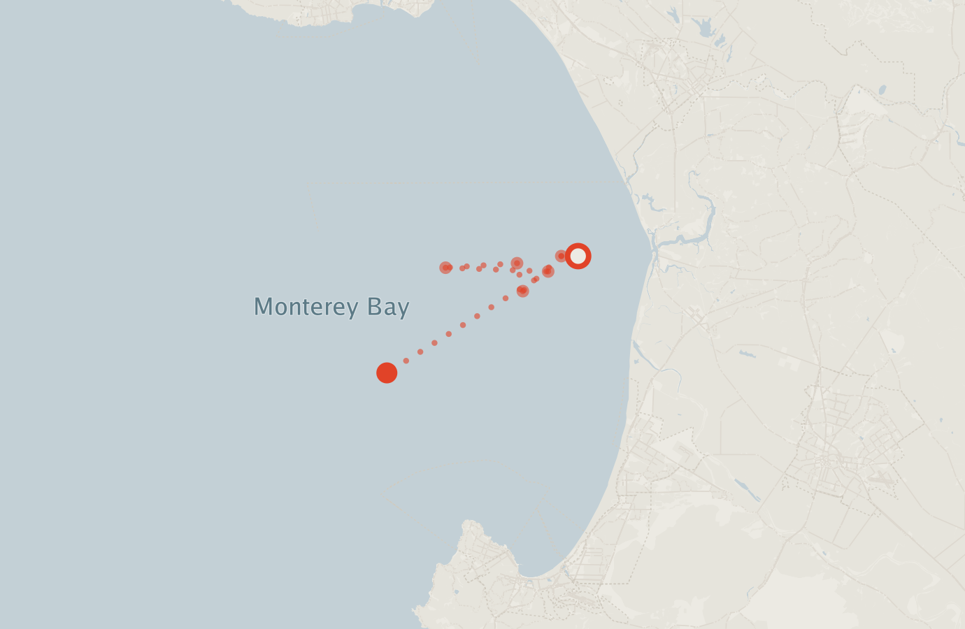 Activity map — real sighting points on an OpenStreetMap basemap