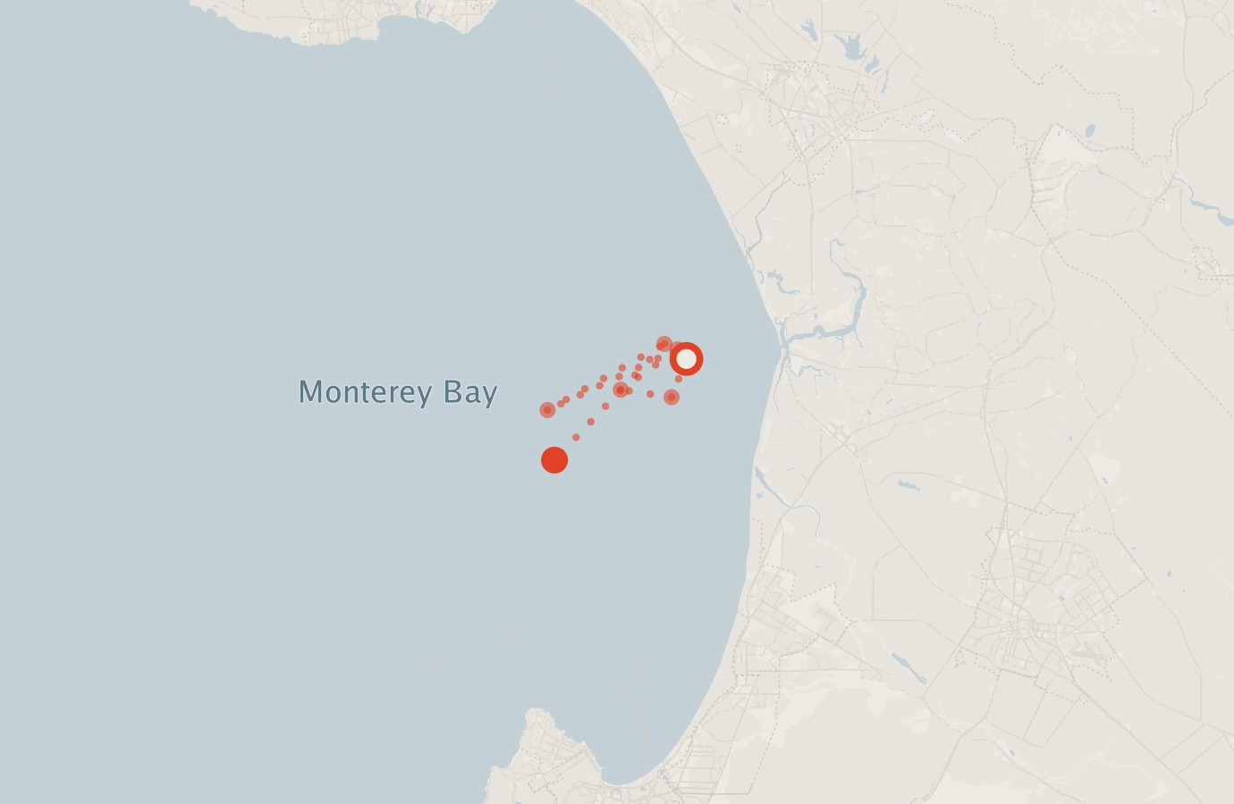 Activity map — real sighting points on an OpenStreetMap basemap