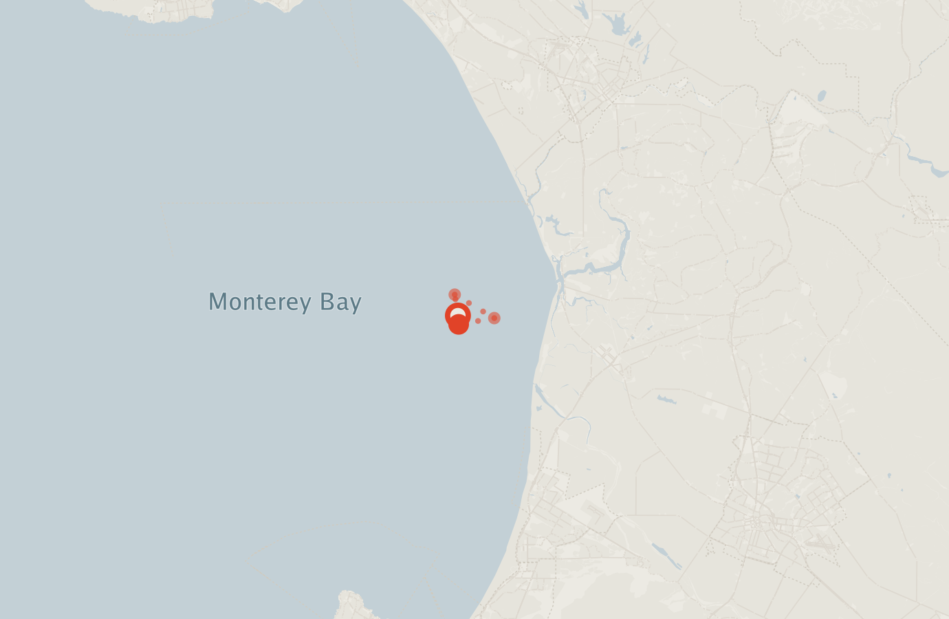 Activity map — real sighting points on an OpenStreetMap basemap