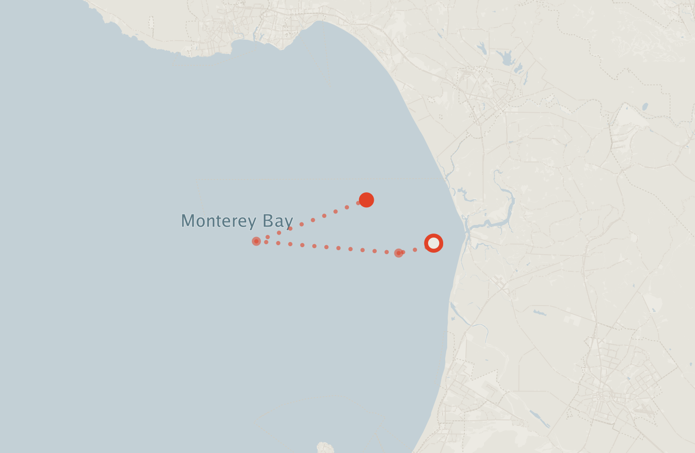 Activity map — real sighting points on an OpenStreetMap basemap
