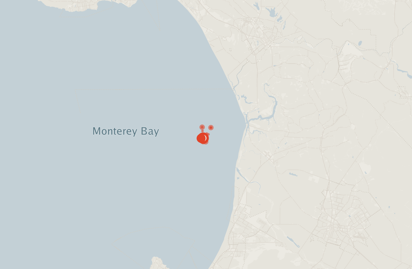 Activity map — real sighting points on an OpenStreetMap basemap