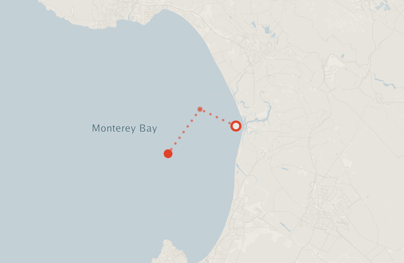 Activity map — real sighting points on an OpenStreetMap basemap
