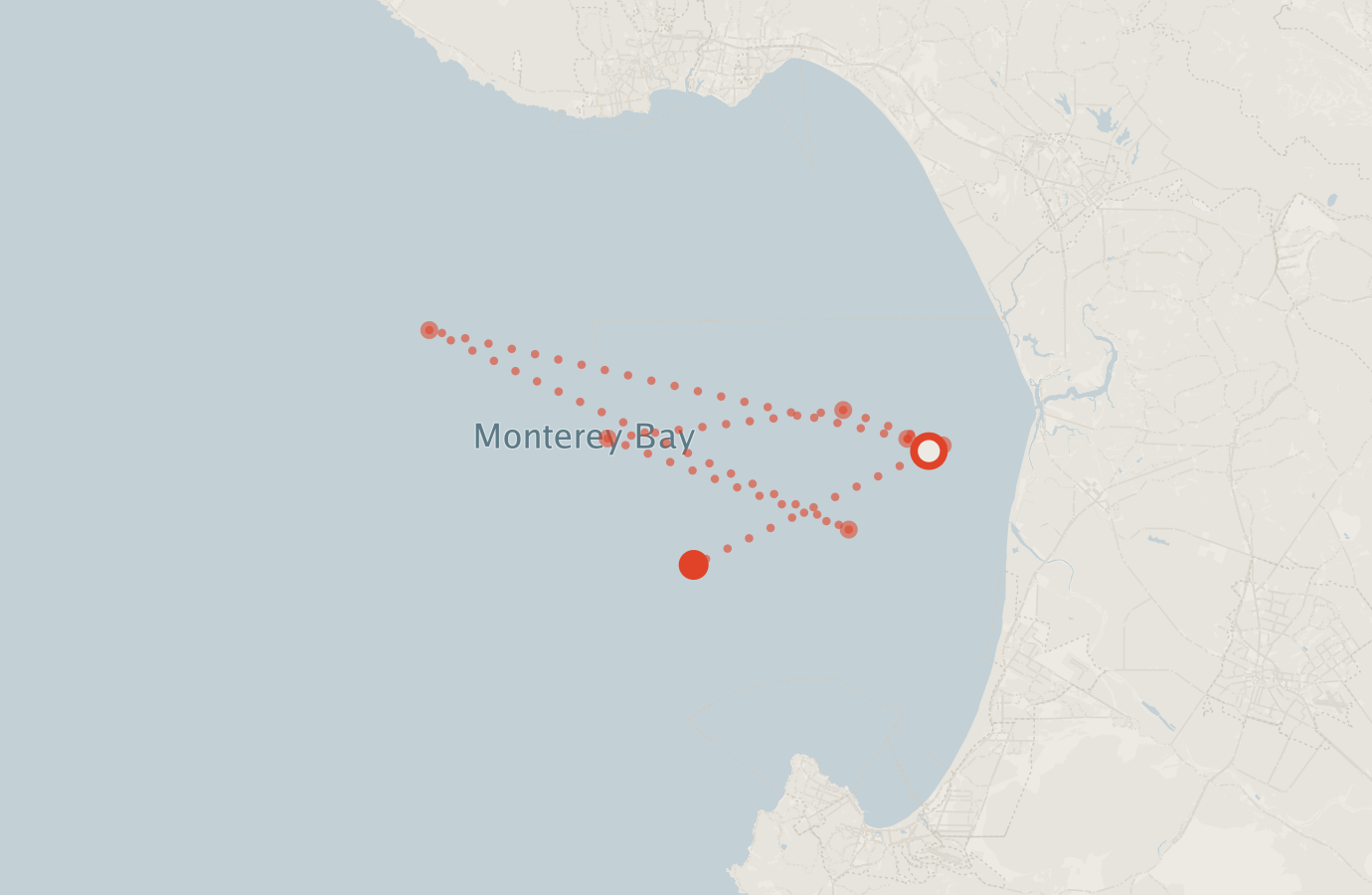 Activity map — real sighting points on an OpenStreetMap basemap