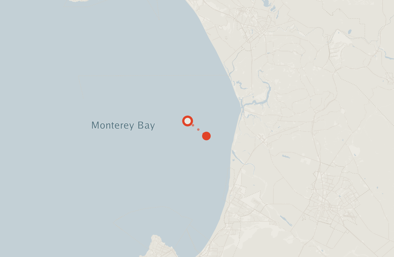 Activity map — real sighting points on an OpenStreetMap basemap