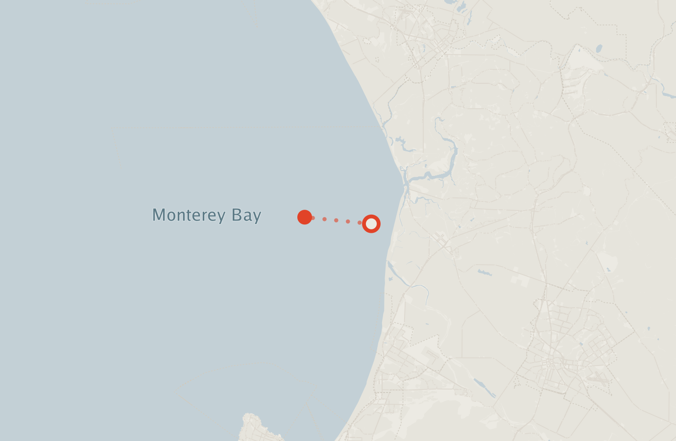 Activity map — real sighting points on an OpenStreetMap basemap