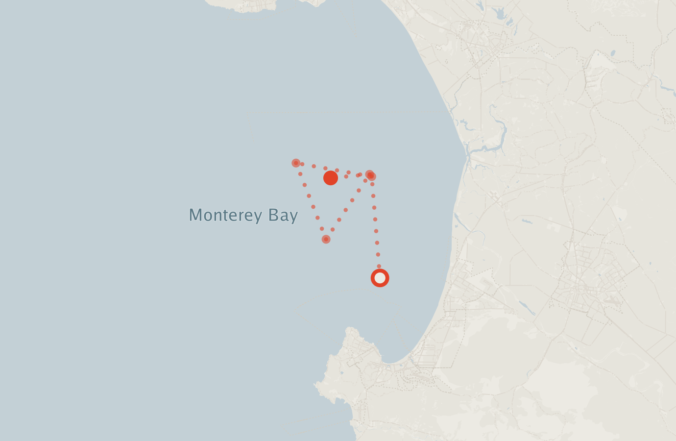 Activity map — real sighting points on an OpenStreetMap basemap