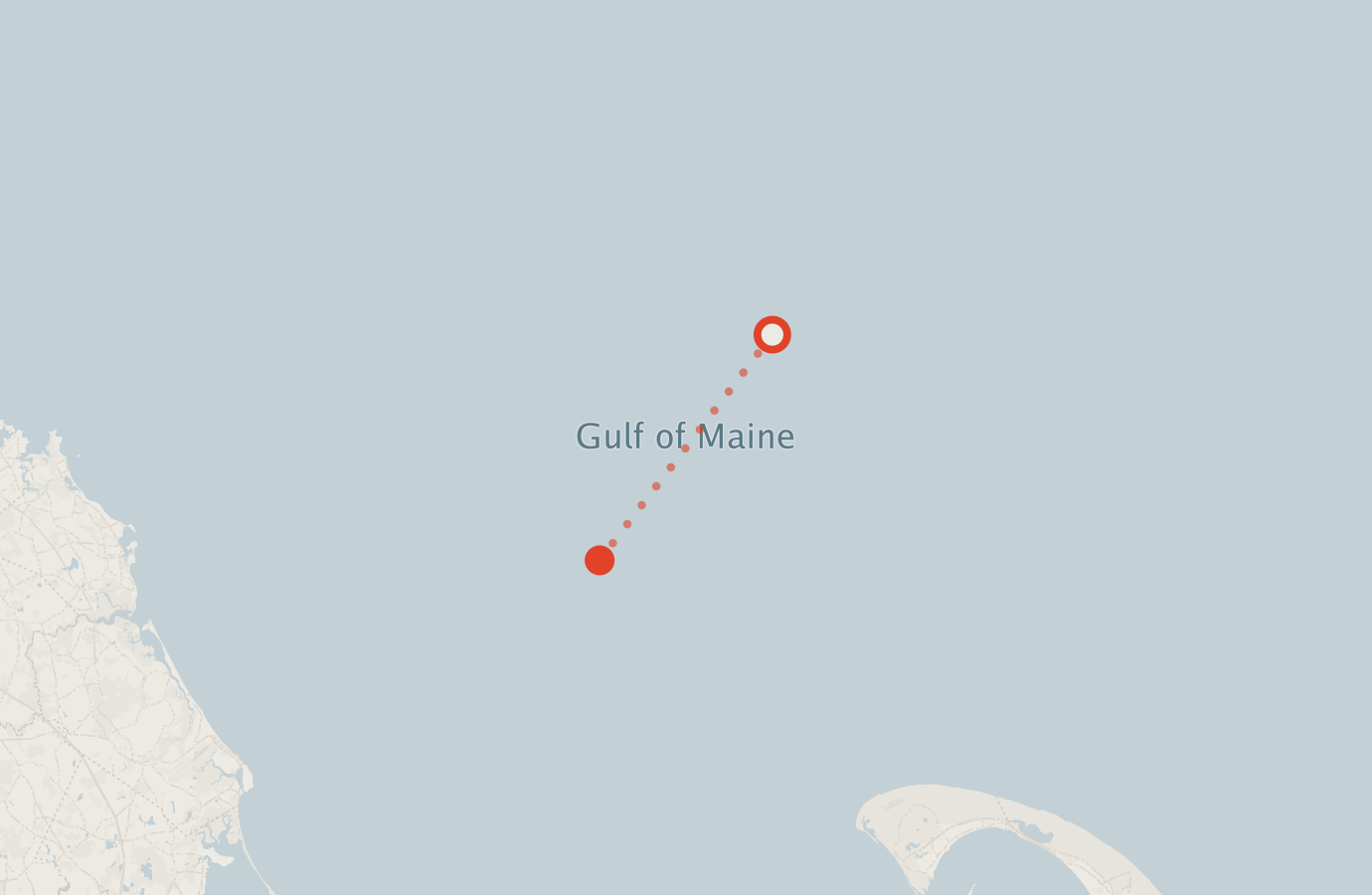 Activity map — real sighting points on an OpenStreetMap basemap