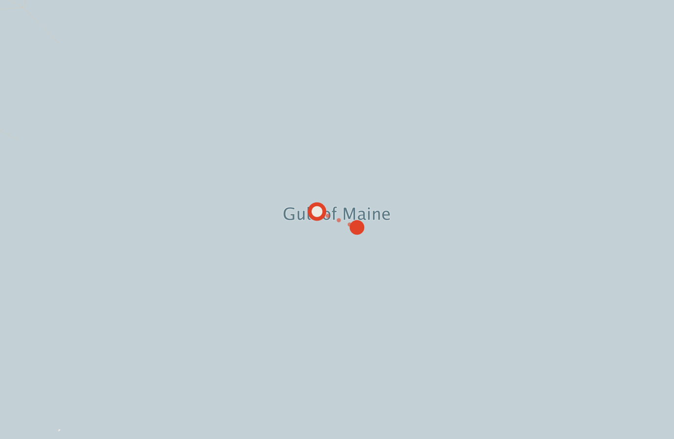 Activity map — real sighting points on an OpenStreetMap basemap