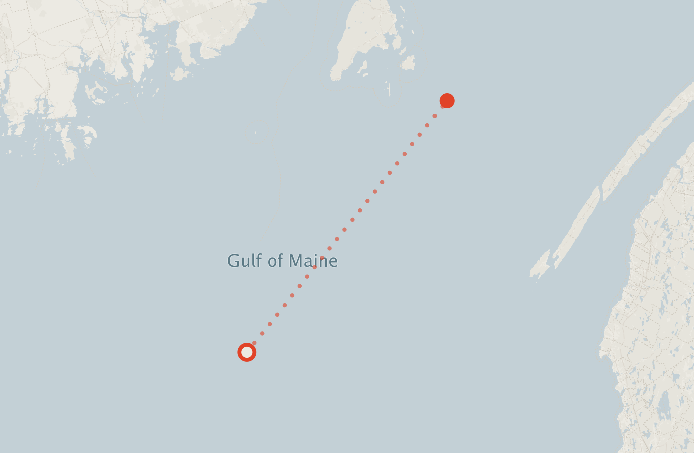 Activity map — real sighting points on an OpenStreetMap basemap