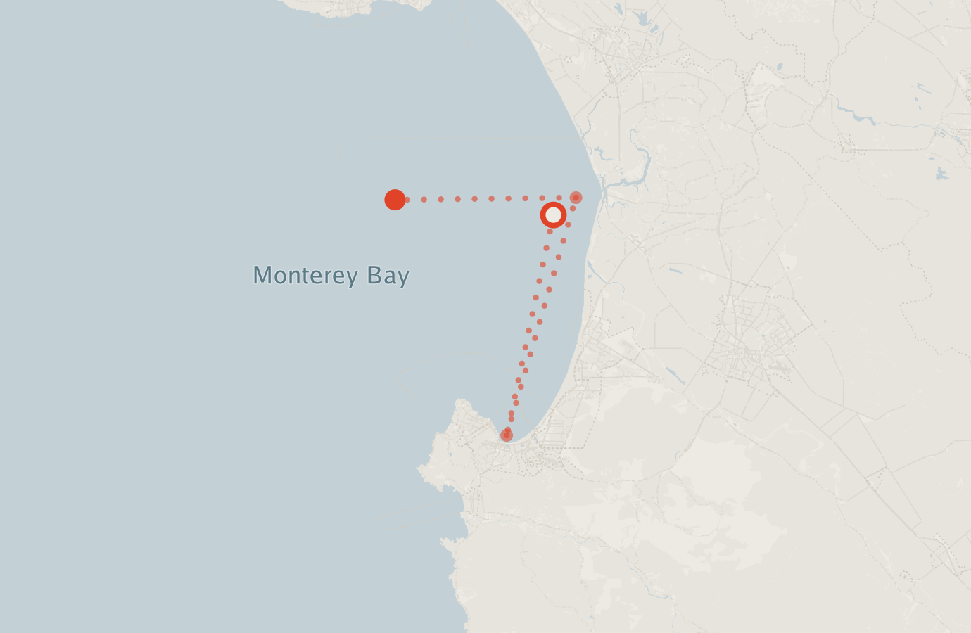 Activity map — real sighting points on an OpenStreetMap basemap
