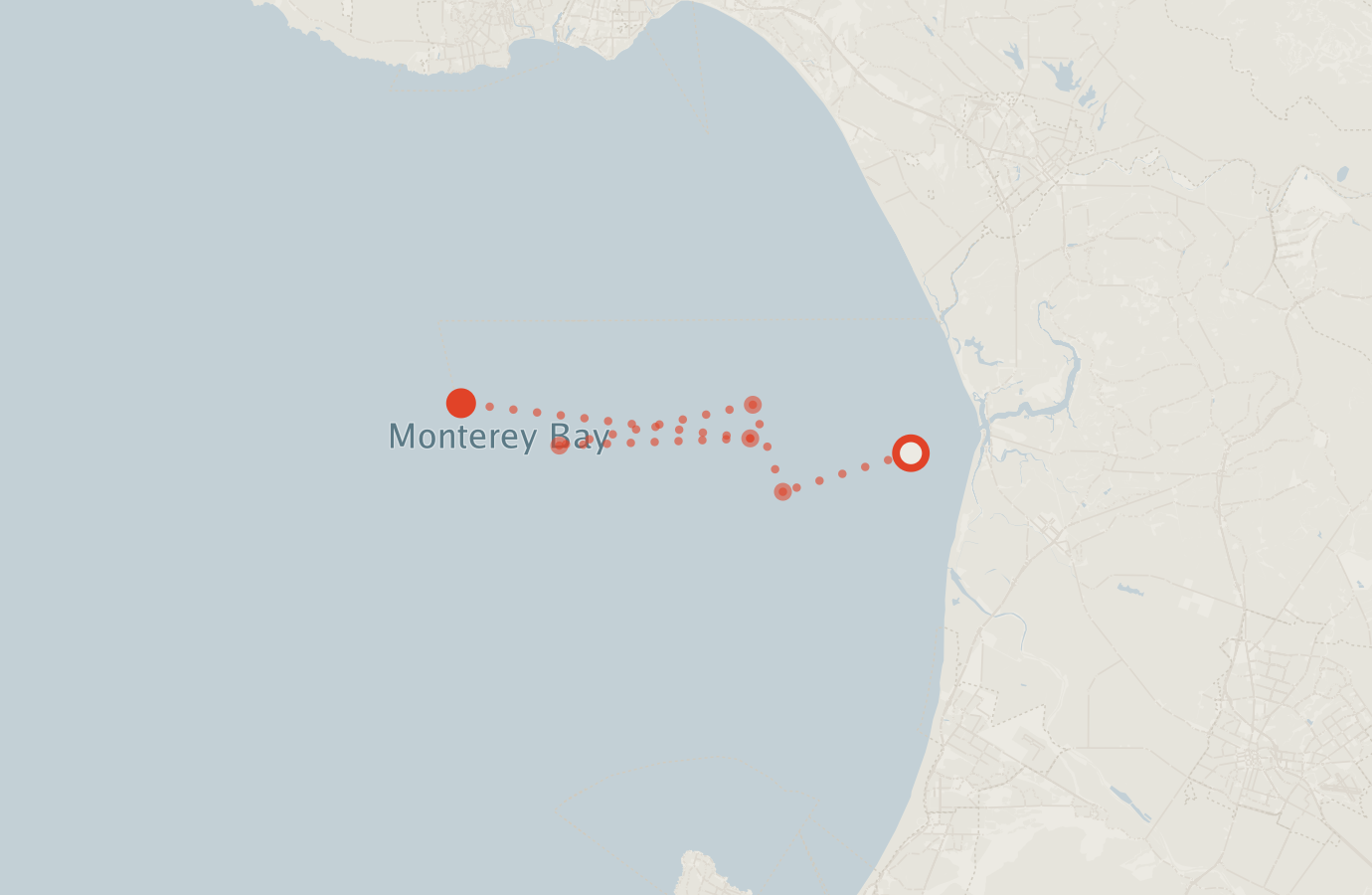 Activity map — real sighting points on an OpenStreetMap basemap