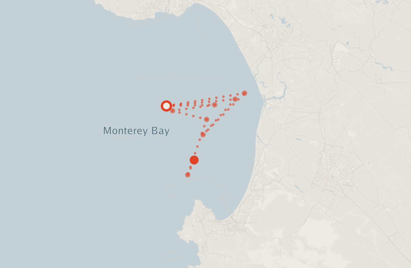 Activity map — real sighting points on an OpenStreetMap basemap