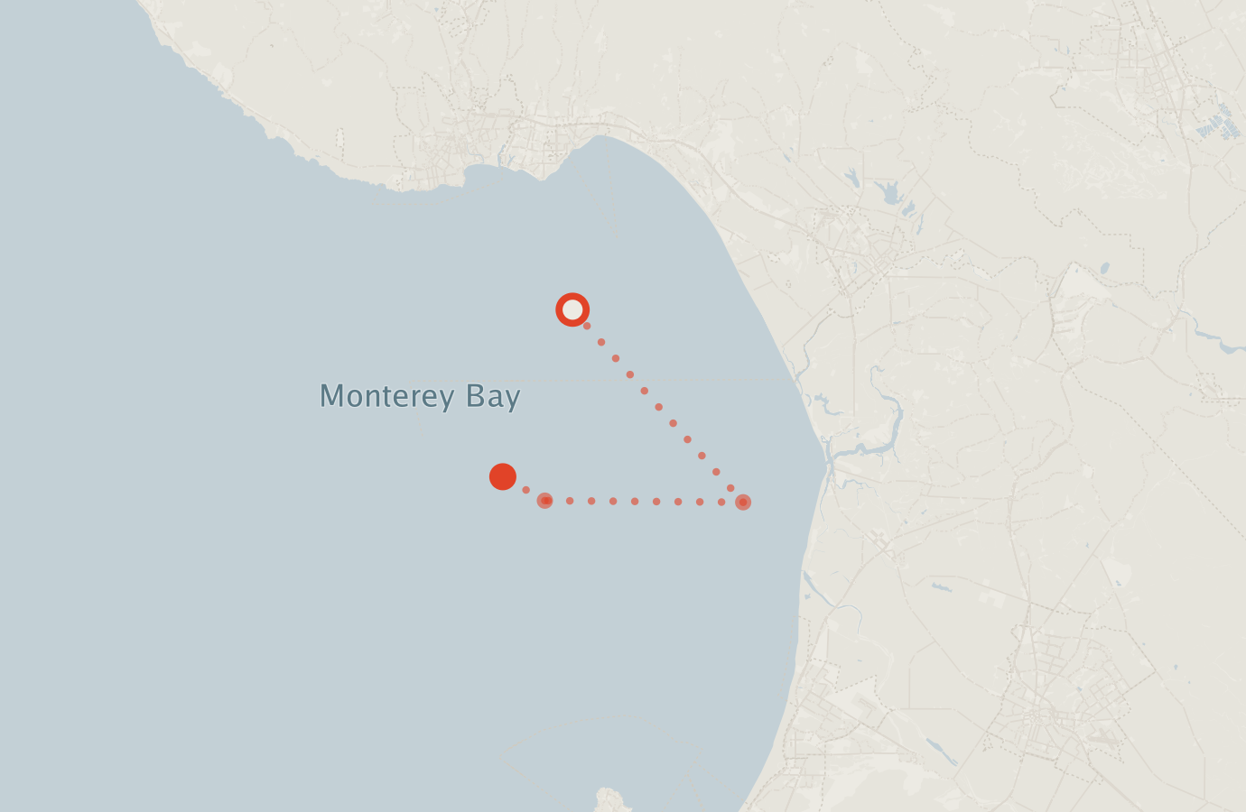 Activity map — real sighting points on an OpenStreetMap basemap