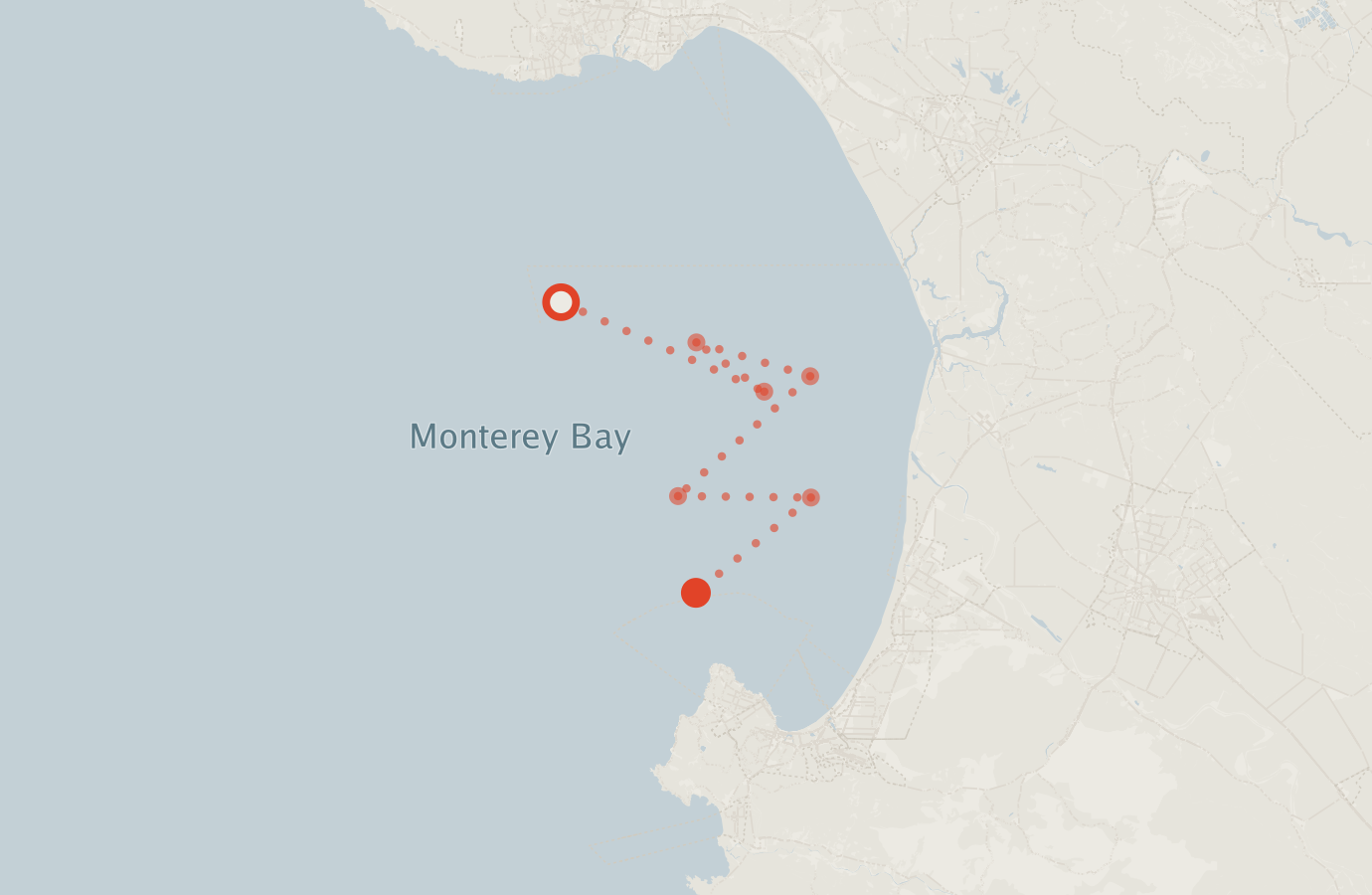 Activity map — real sighting points on an OpenStreetMap basemap