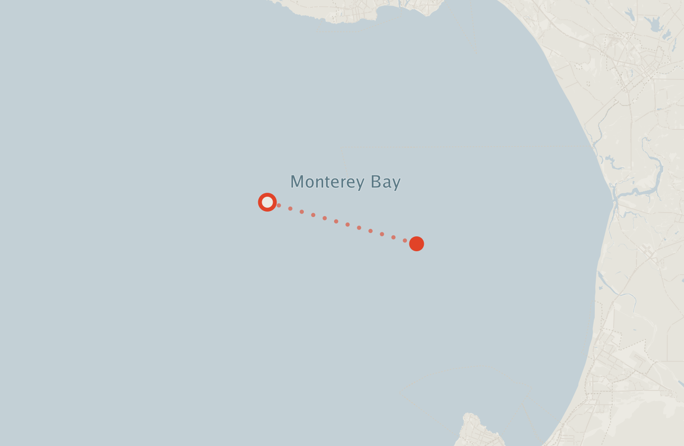 Activity map — real sighting points on an OpenStreetMap basemap
