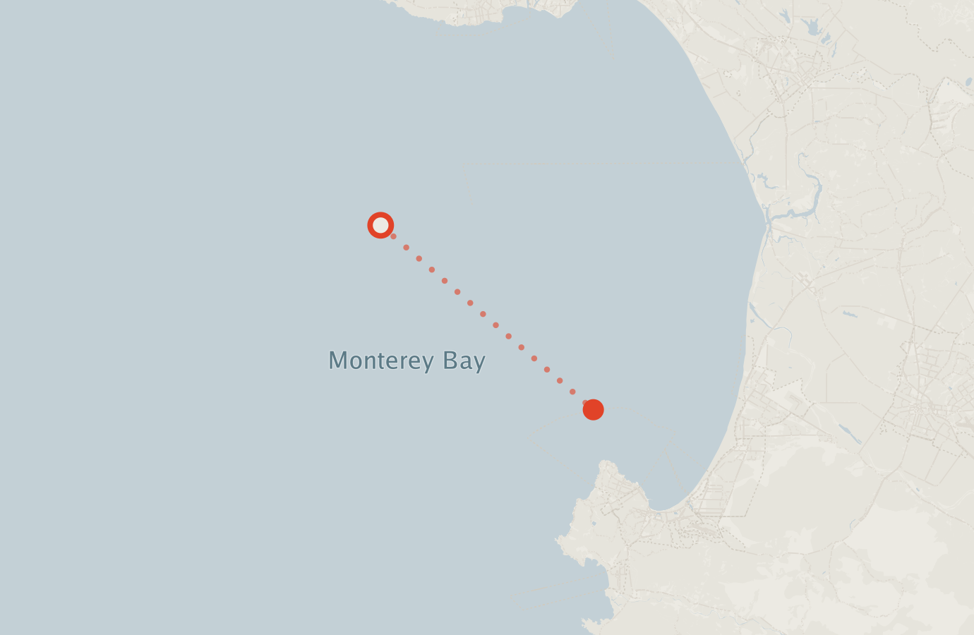 Activity map — real sighting points on an OpenStreetMap basemap