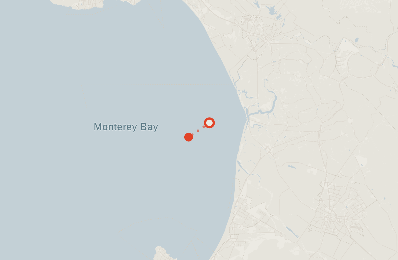 Activity map — real sighting points on an OpenStreetMap basemap