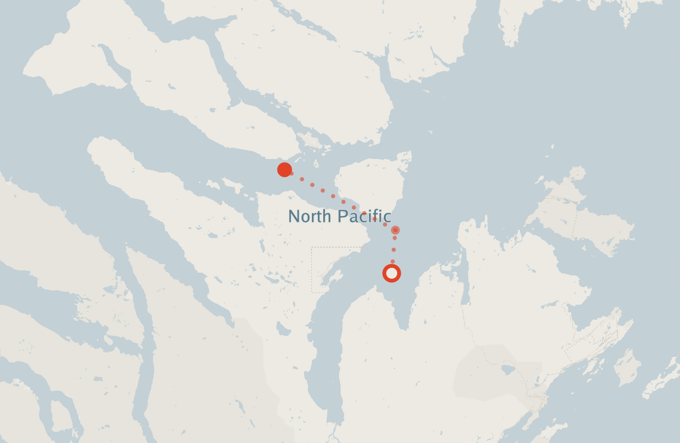 Activity map — real sighting points on an OpenStreetMap basemap