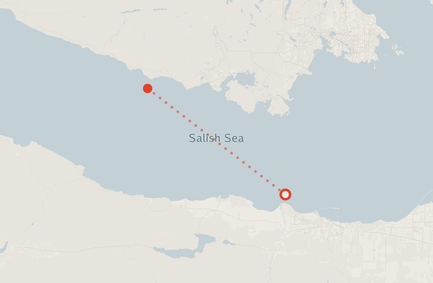 Activity map — real sighting points on an OpenStreetMap basemap