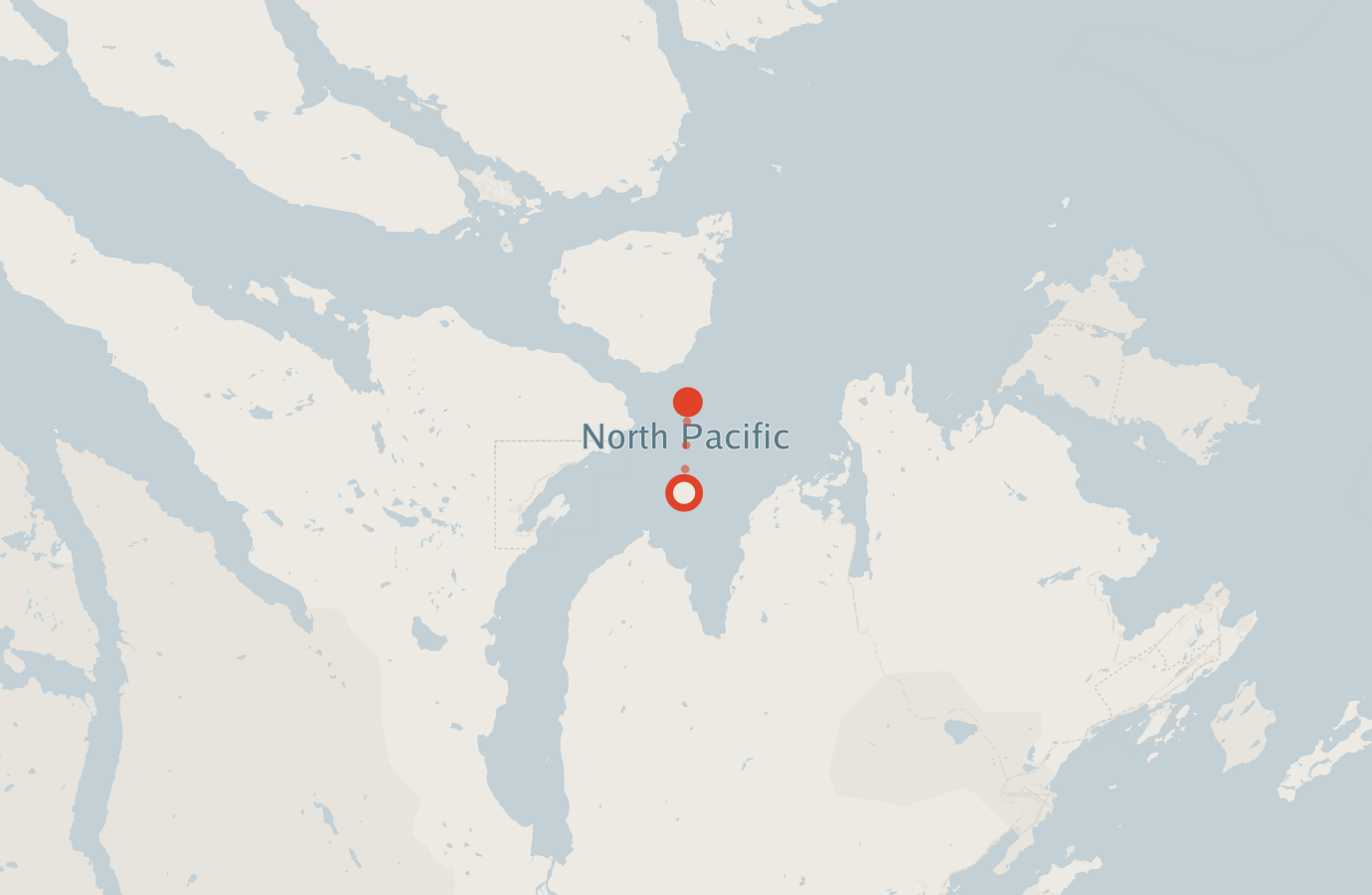Activity map — real sighting points on an OpenStreetMap basemap
