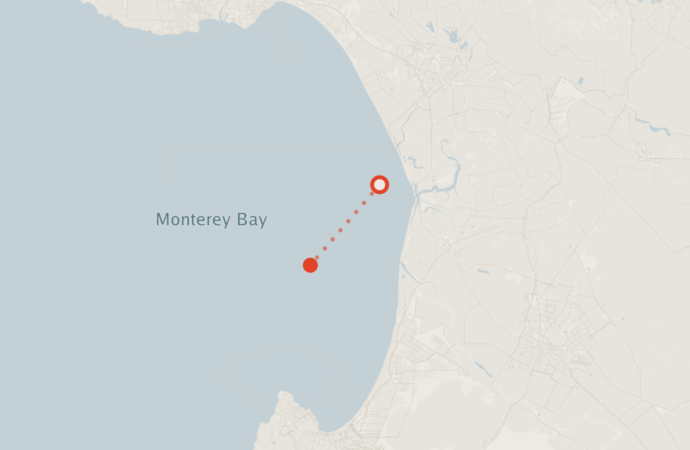 Activity map — real sighting points on an OpenStreetMap basemap