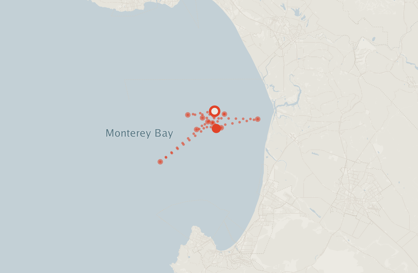 Activity map — real sighting points on an OpenStreetMap basemap