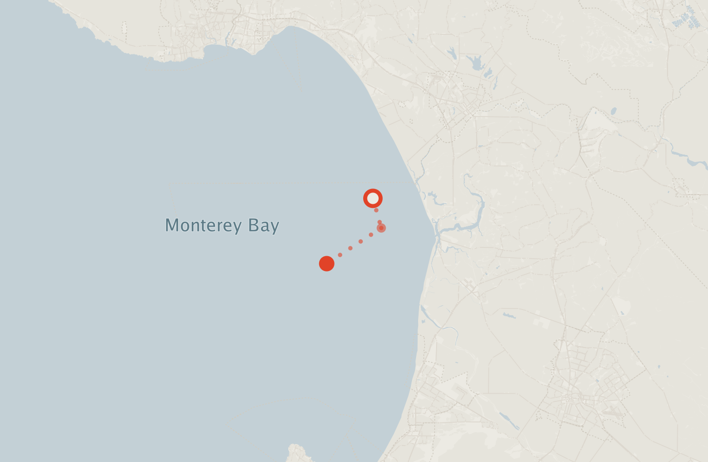 Activity map — real sighting points on an OpenStreetMap basemap