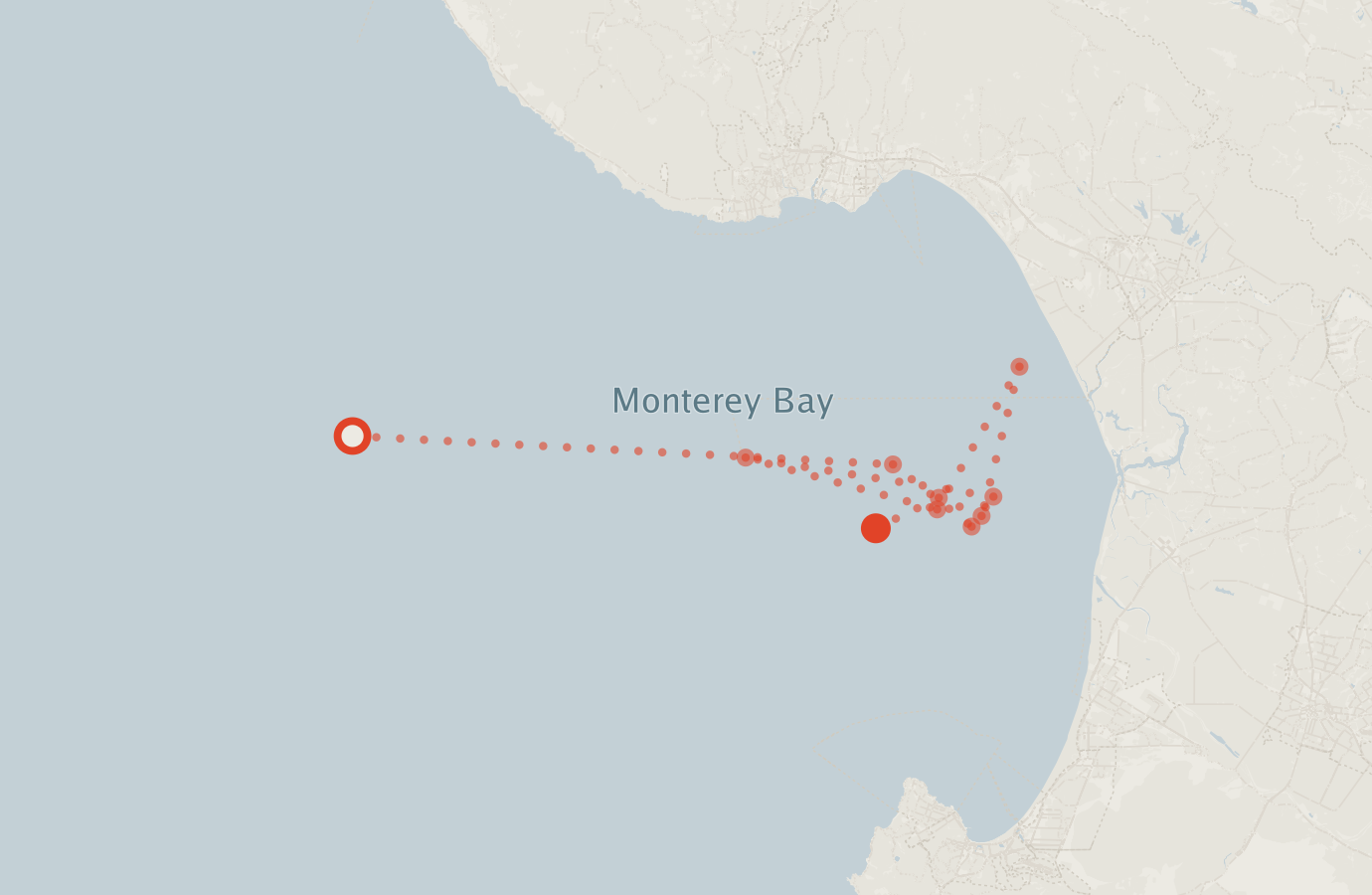 Activity map — real sighting points on an OpenStreetMap basemap