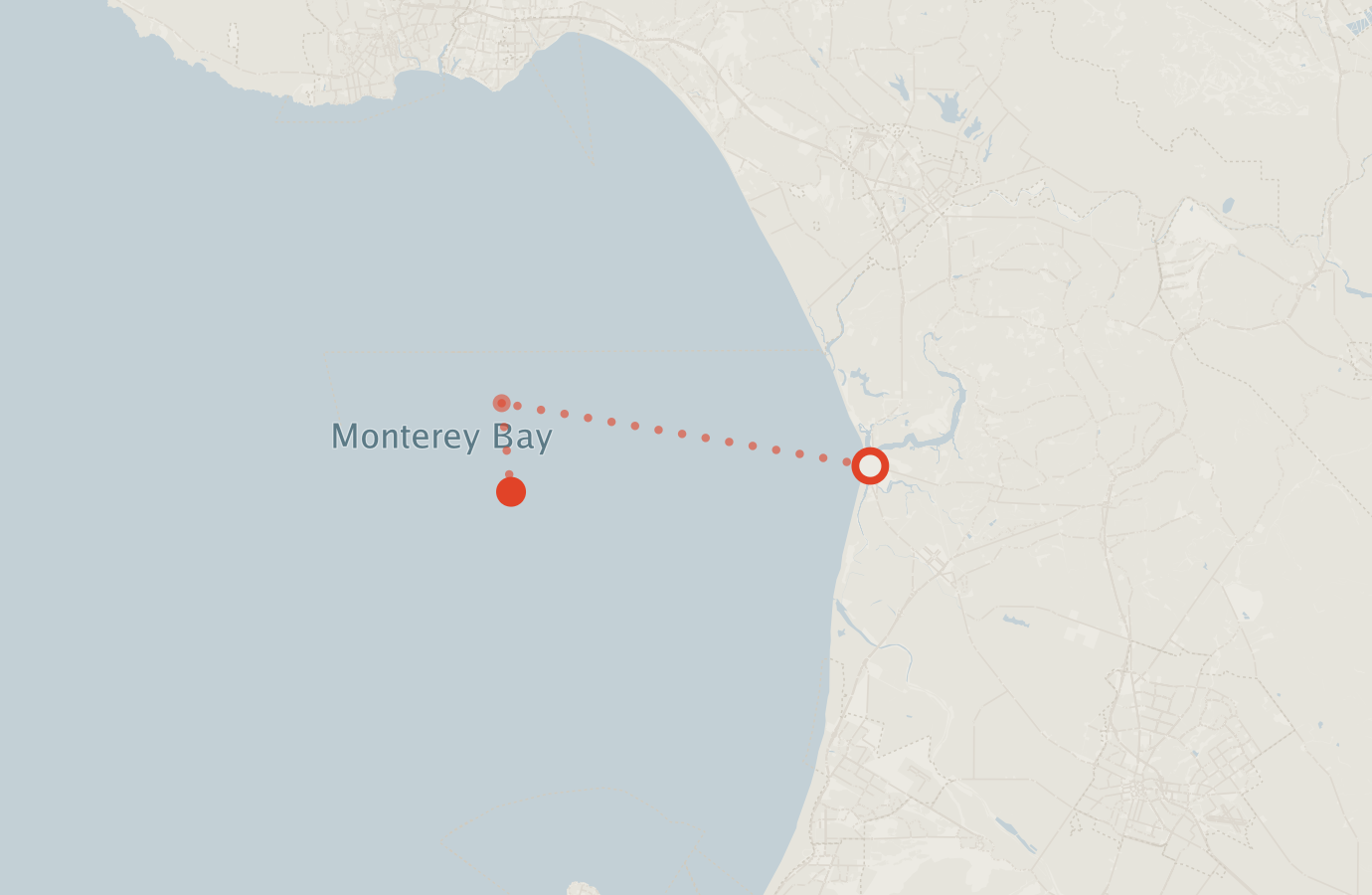 Activity map — real sighting points on an OpenStreetMap basemap