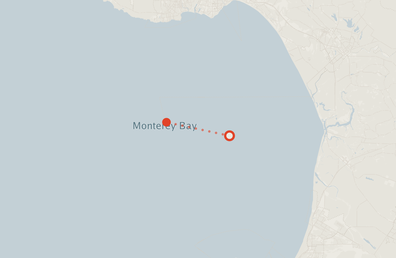 Activity map — real sighting points on an OpenStreetMap basemap