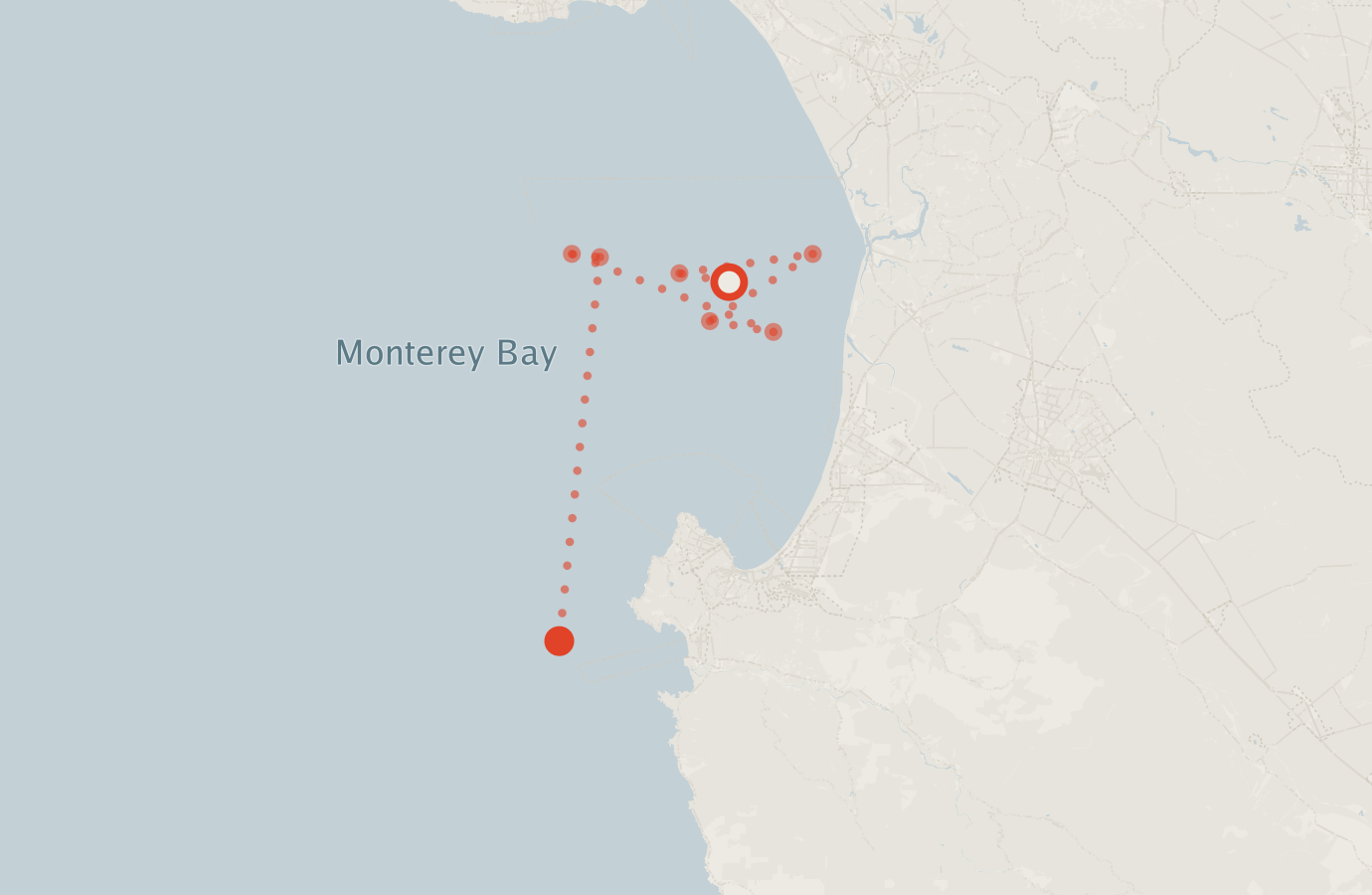 Activity map — real sighting points on an OpenStreetMap basemap
