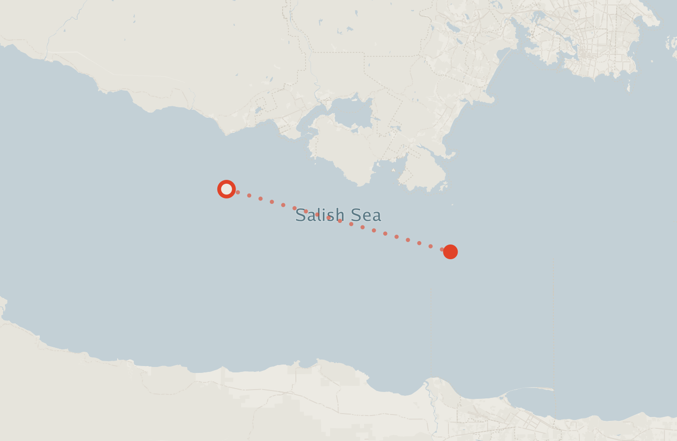 Activity map — real sighting points on an OpenStreetMap basemap