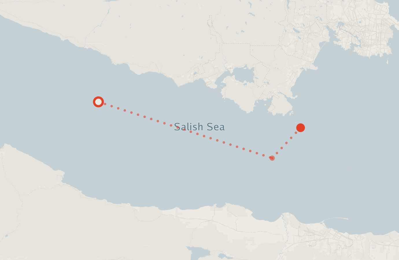 Activity map — real sighting points on an OpenStreetMap basemap
