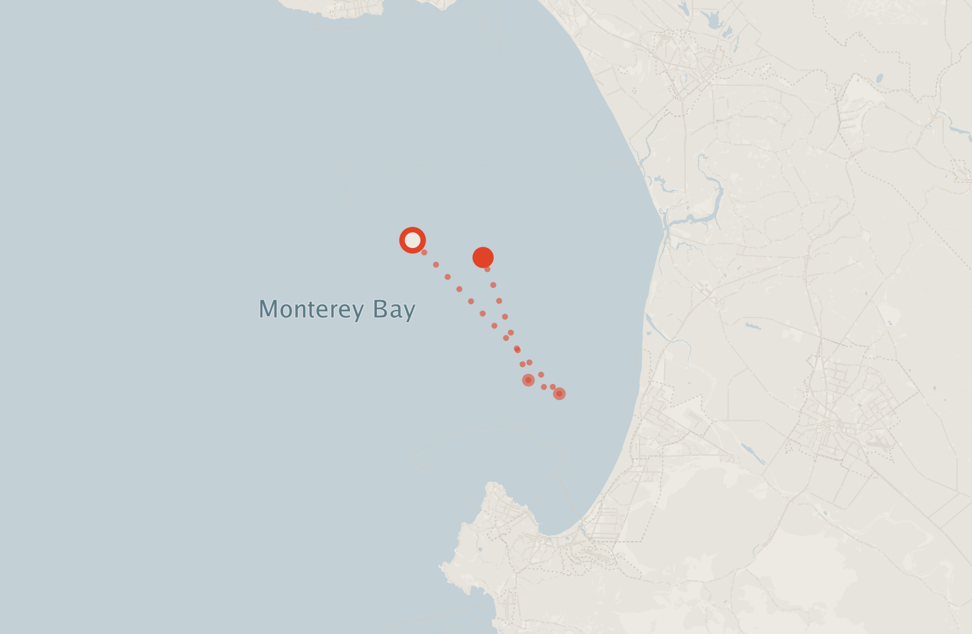Activity map — real sighting points on an OpenStreetMap basemap