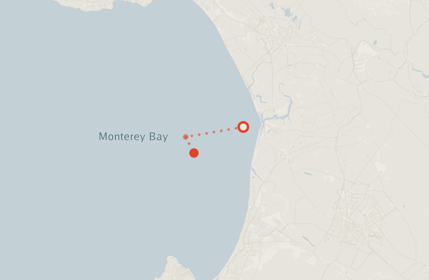 Activity map — real sighting points on an OpenStreetMap basemap