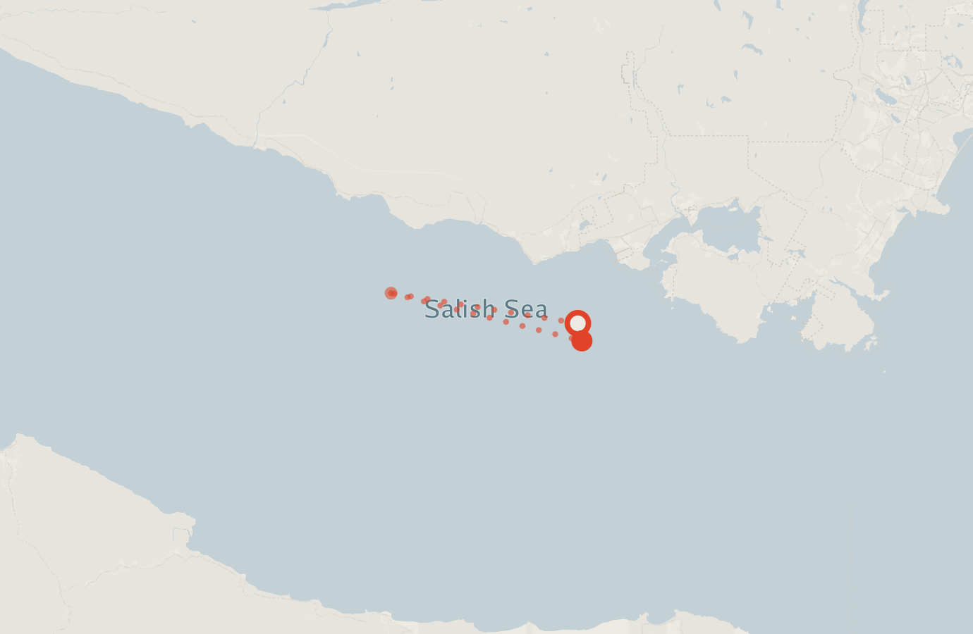 Activity map — real sighting points on an OpenStreetMap basemap