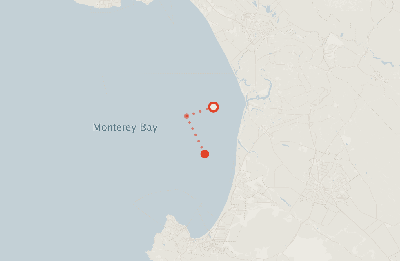 Activity map — real sighting points on an OpenStreetMap basemap