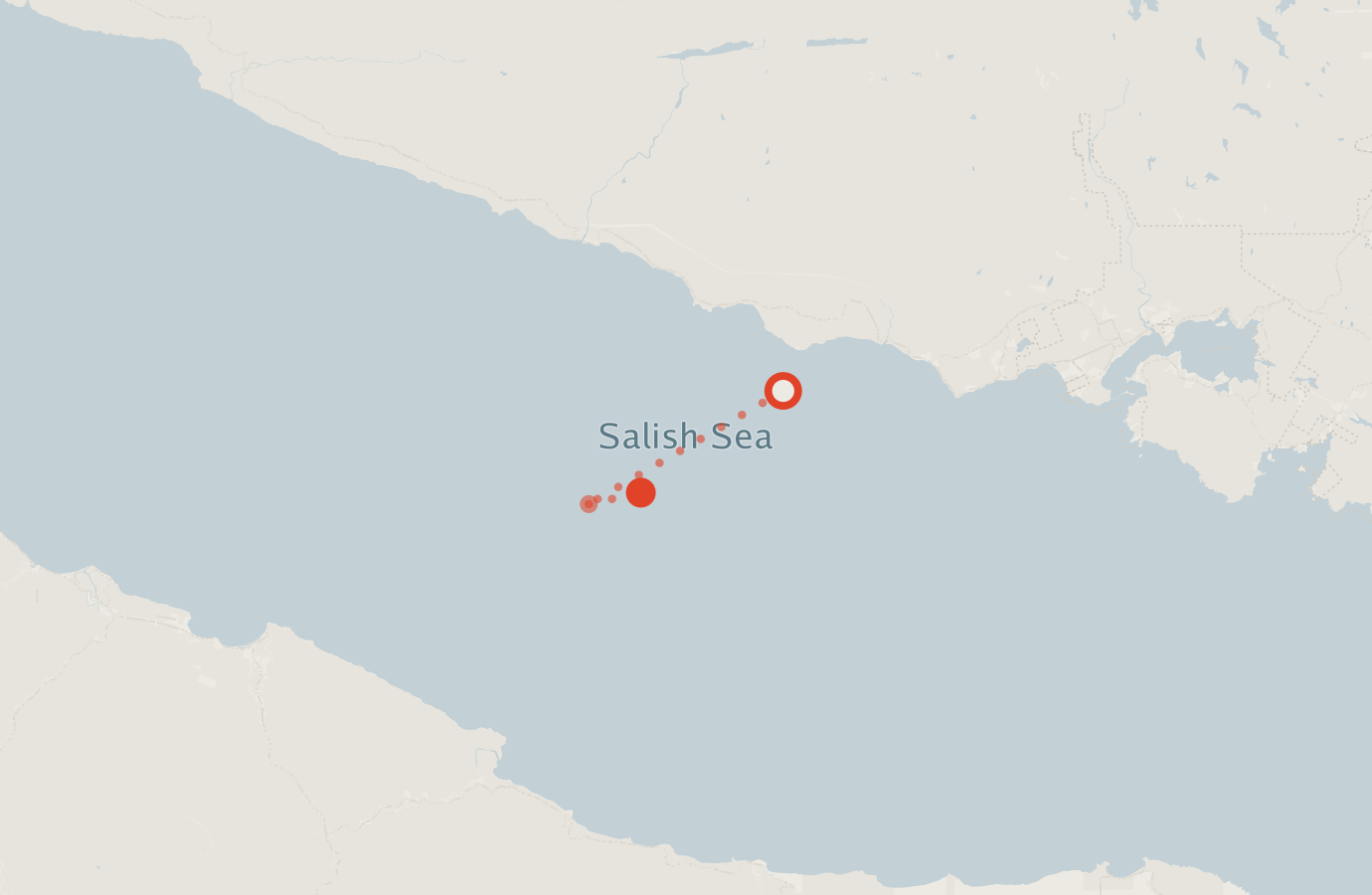Activity map — real sighting points on an OpenStreetMap basemap