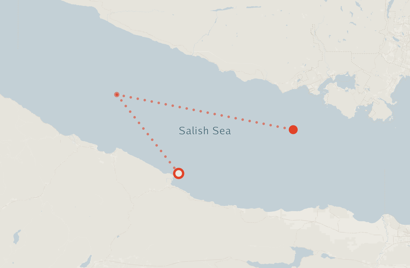 Activity map — real sighting points on an OpenStreetMap basemap
