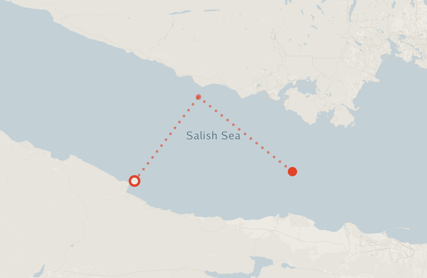 Activity map — real sighting points on an OpenStreetMap basemap