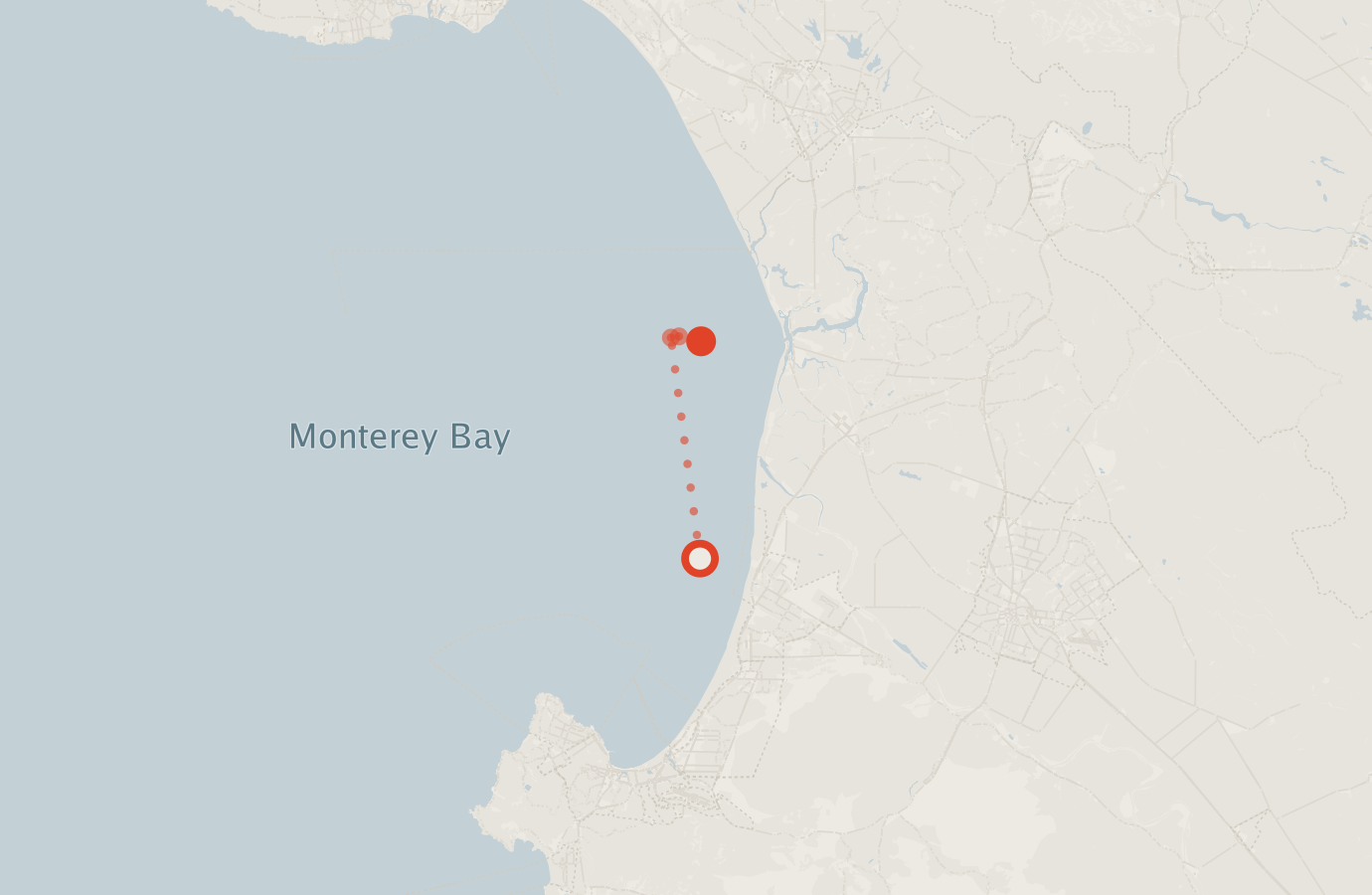 Activity map — real sighting points on an OpenStreetMap basemap