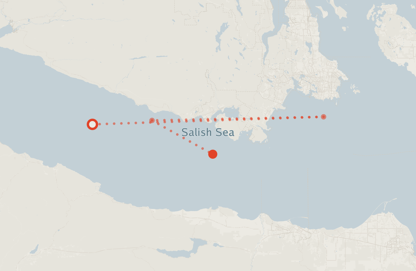 Activity map — real sighting points on an OpenStreetMap basemap